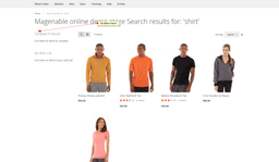 Magento 2 site search: no faceted search